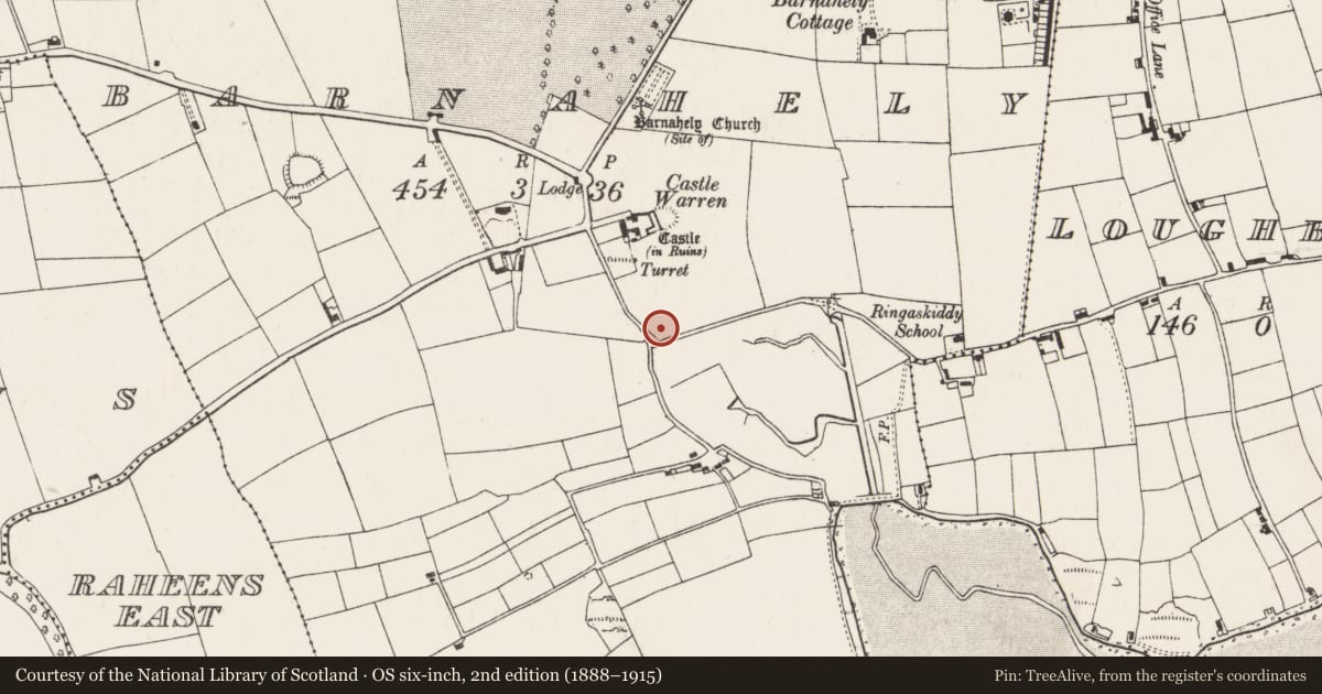 Ordnance Survey six-inch map, 2nd edition (1888–1915) covering the location of Excavation - miscellaneous, Barnahely, County Cork, with a pin at the register's coordinates