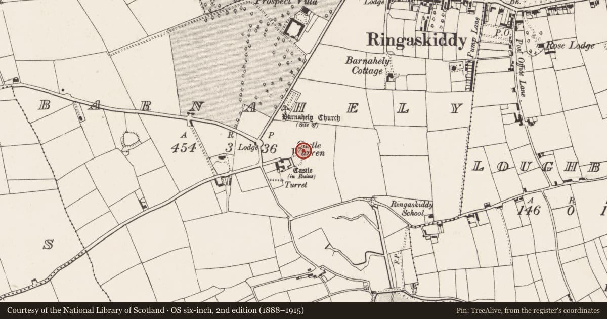 Ordnance Survey six-inch map, 2nd edition (1888–1915) covering the location of Excavation - miscellaneous, Barnahely, County Cork, with a pin at the register's coordinates