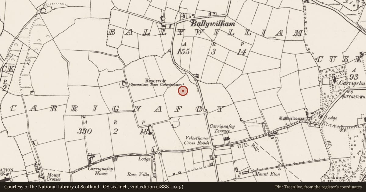 Ordnance Survey six-inch map, 2nd edition (1888–1915) covering the location of Fulacht fia, Carrignafoy, County Cork, with a pin at the register's coordinates