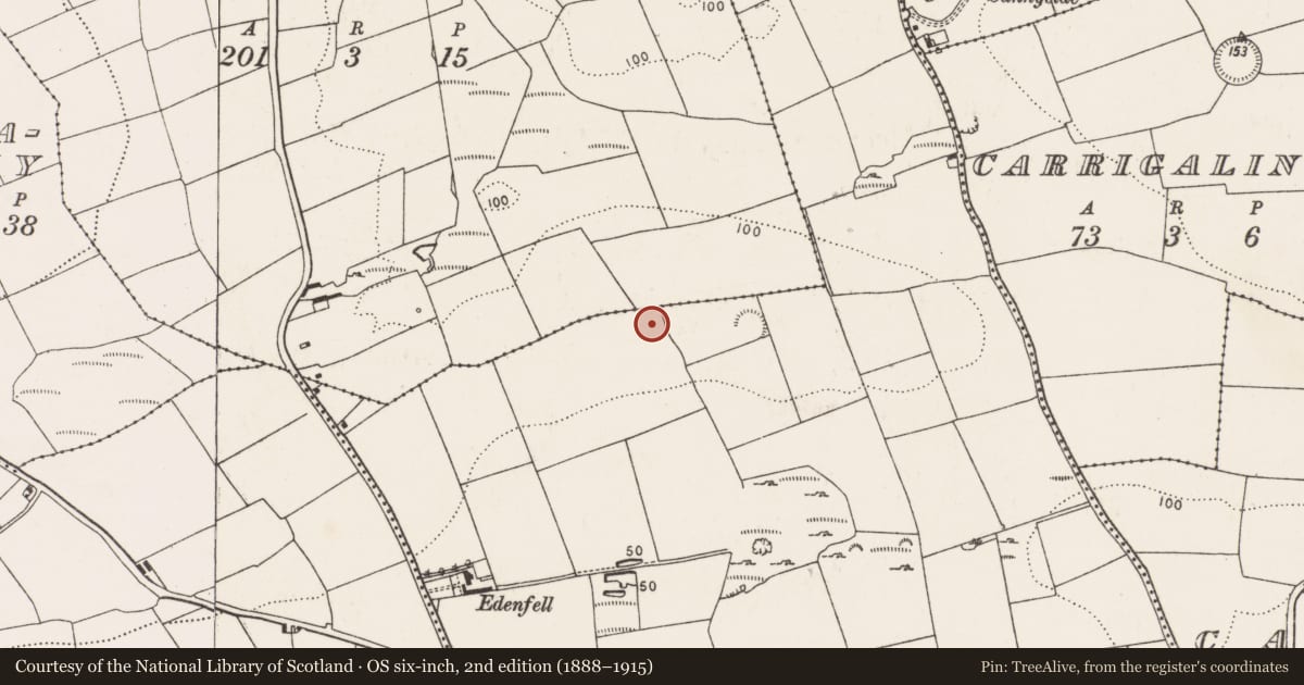 Ordnance Survey six-inch map, 2nd edition (1888–1915) covering the location of Pit-burial, Carrigaline Middle, County Cork, with a pin at the register's coordinates