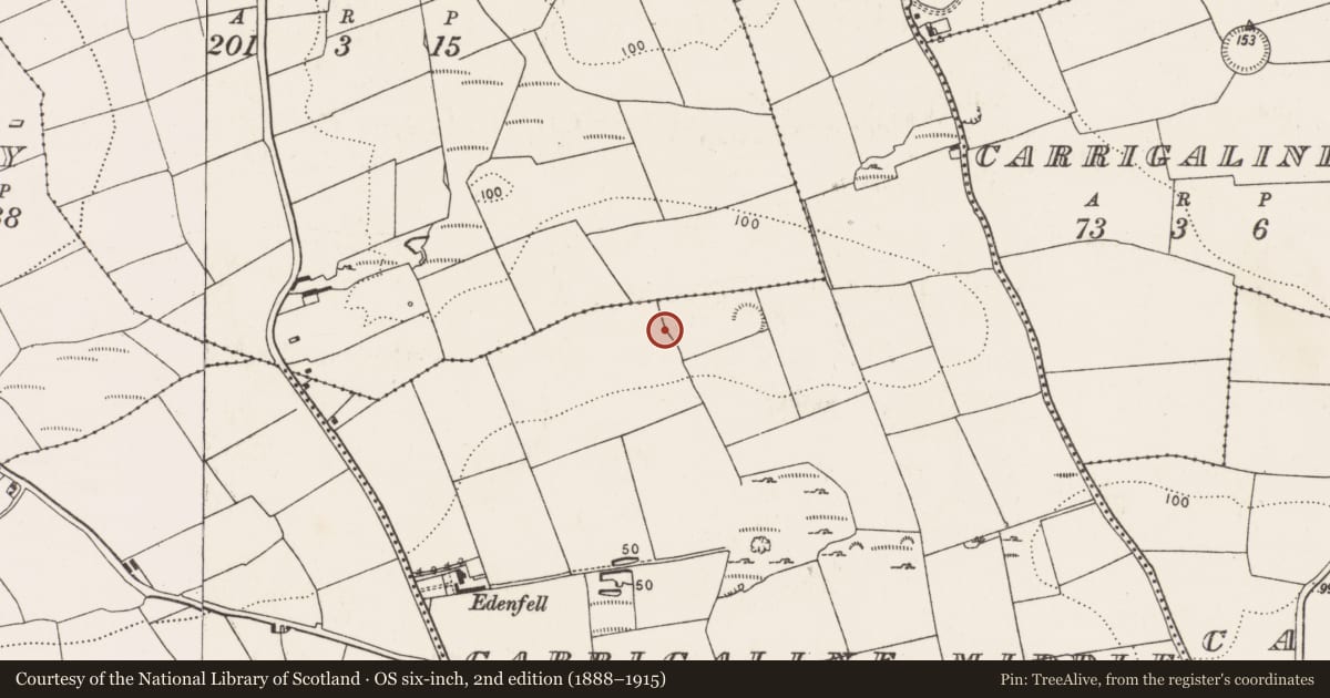 Ordnance Survey six-inch map, 2nd edition (1888–1915) covering the location of Pit-burial, Carrigaline Middle, County Cork, with a pin at the register's coordinates