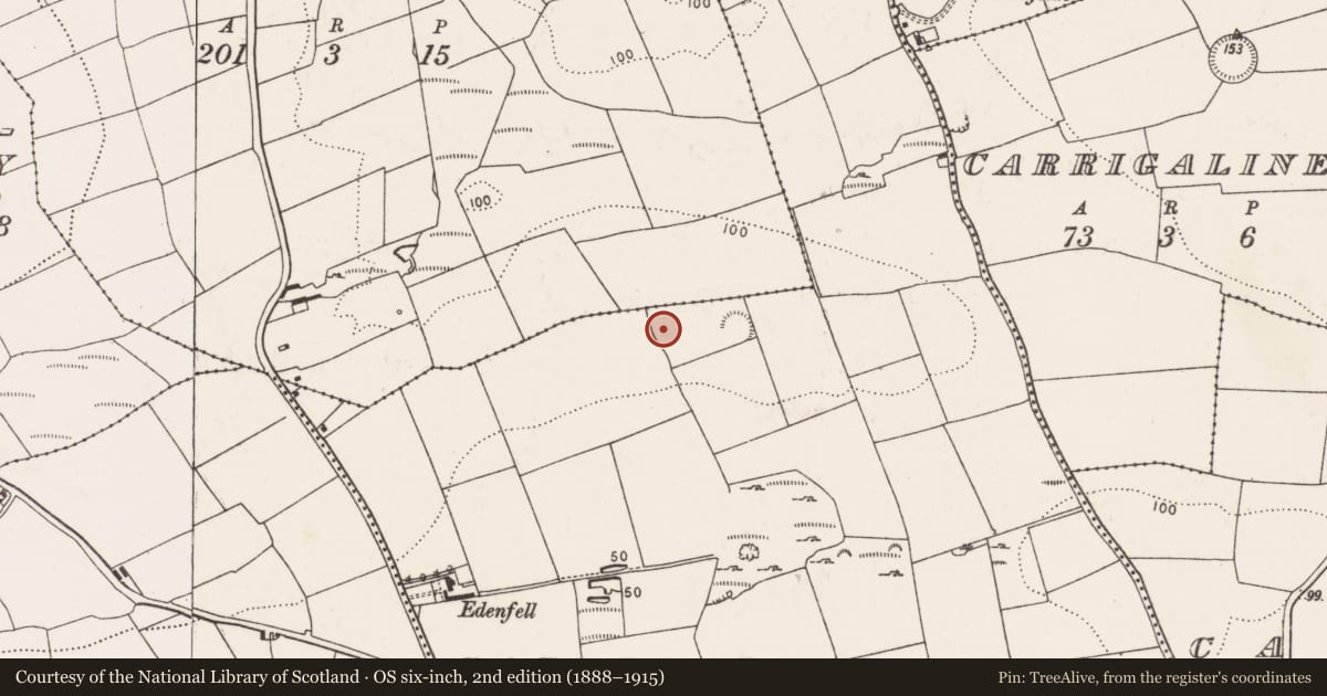 Ordnance Survey six-inch map, 2nd edition (1888–1915) covering the location of Excavation - miscellaneous, Carrigaline Middle, County Cork, with a pin at the register's coordinates