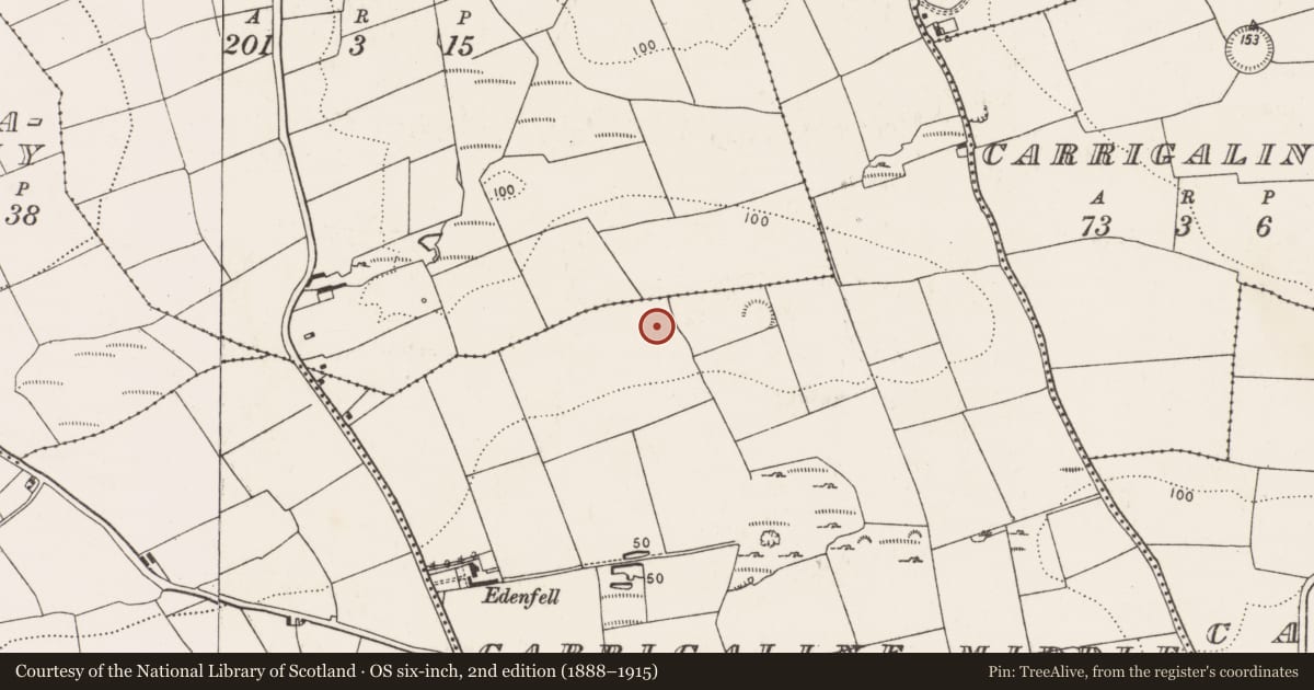 Ordnance Survey six-inch map, 2nd edition (1888–1915) covering the location of Excavation - miscellaneous, Carrigaline Middle, County Cork, with a pin at the register's coordinates