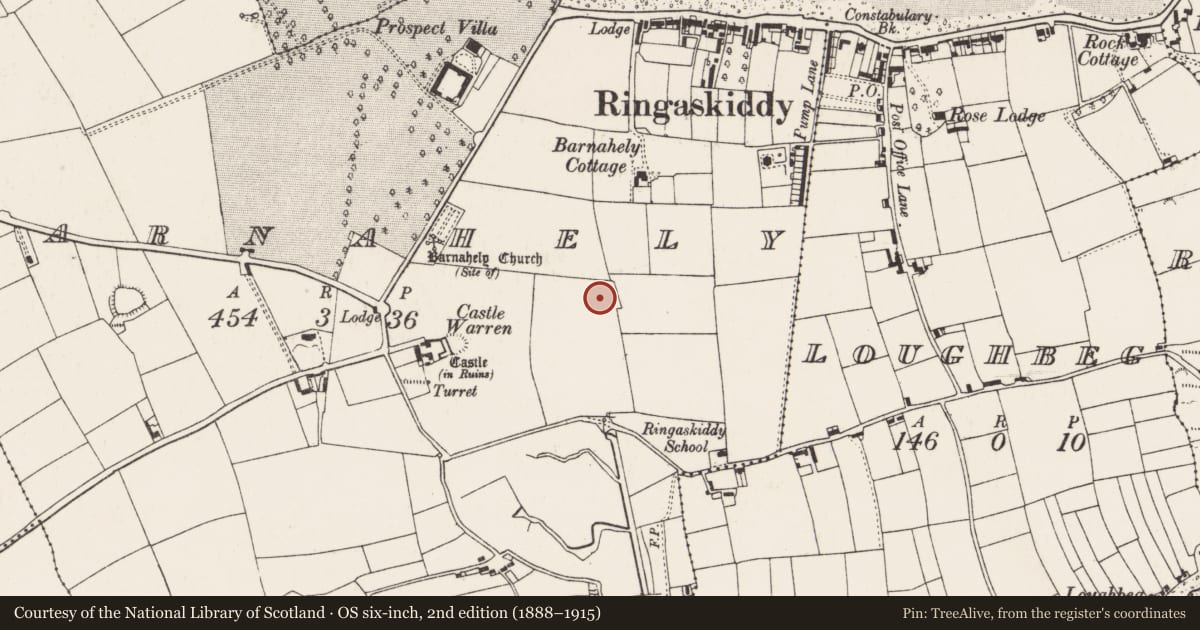 Ordnance Survey six-inch map, 2nd edition (1888–1915) covering the location of Enclosure, Barnahely, County Cork, with a pin at the register's coordinates