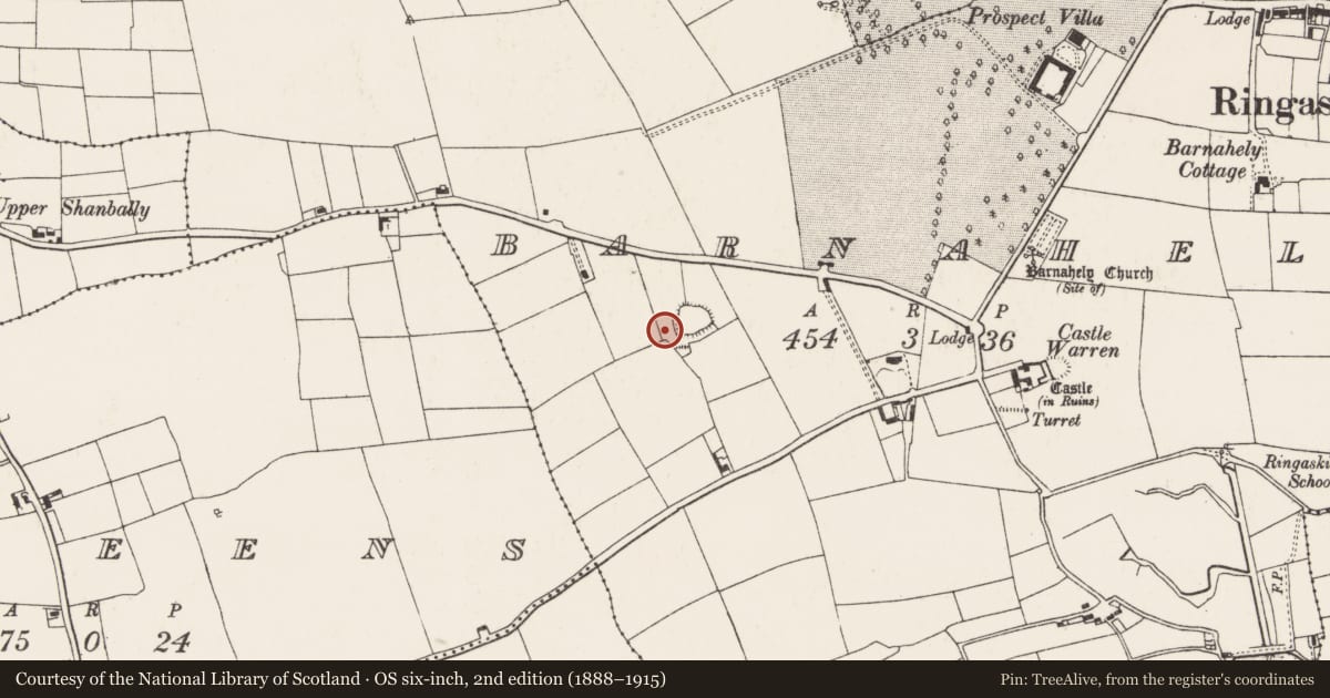Ordnance Survey six-inch map, 2nd edition (1888–1915) covering the location of Kiln - corn-drying, Barnahely, County Cork, with a pin at the register's coordinates