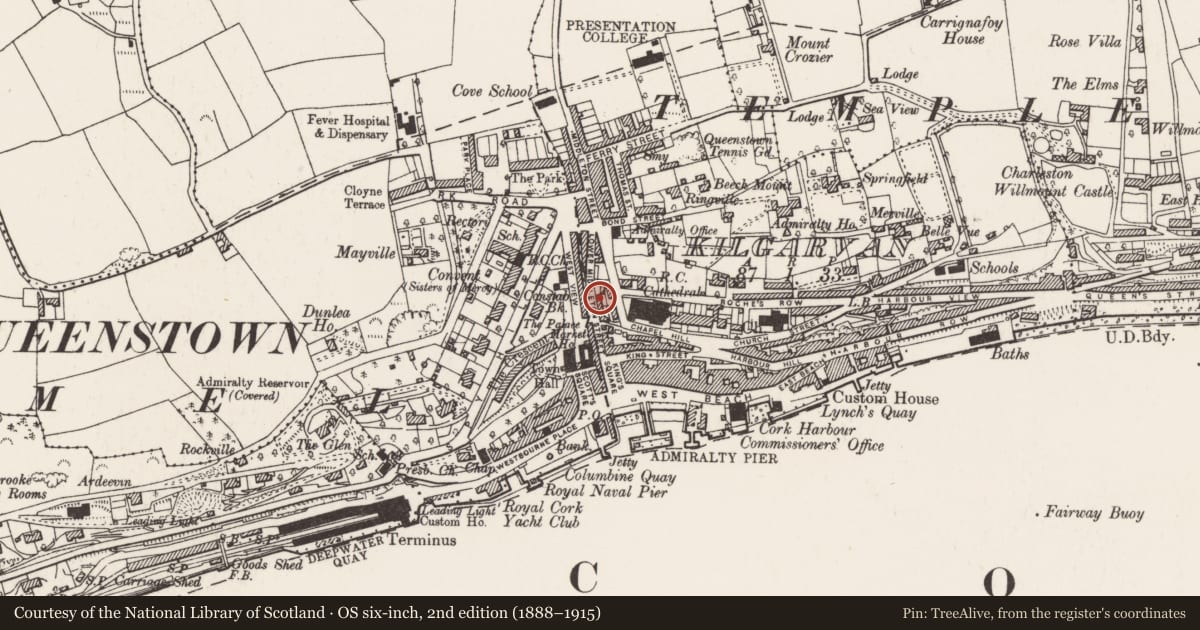 Ordnance Survey six-inch map, 2nd edition (1888–1915) covering the location of Town, Ballyvoloon , Kilgarvan, County Cork, with a pin at the register's coordinates
