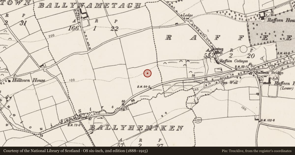 Ordnance Survey six-inch map, 2nd edition (1888–1915) covering the location of Burnt spread, Ballynametagh, County Cork, with a pin at the register's coordinates