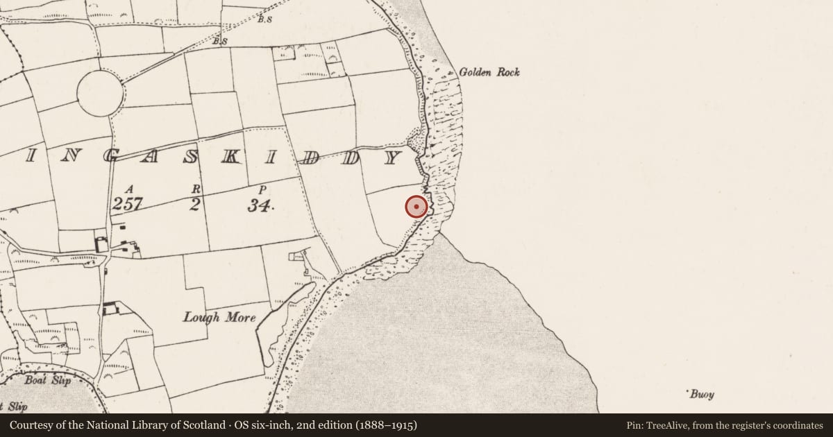 Ordnance Survey six-inch map, 2nd edition (1888–1915) covering the location of Midden, Ringaskiddy, County Cork, with a pin at the register's coordinates
