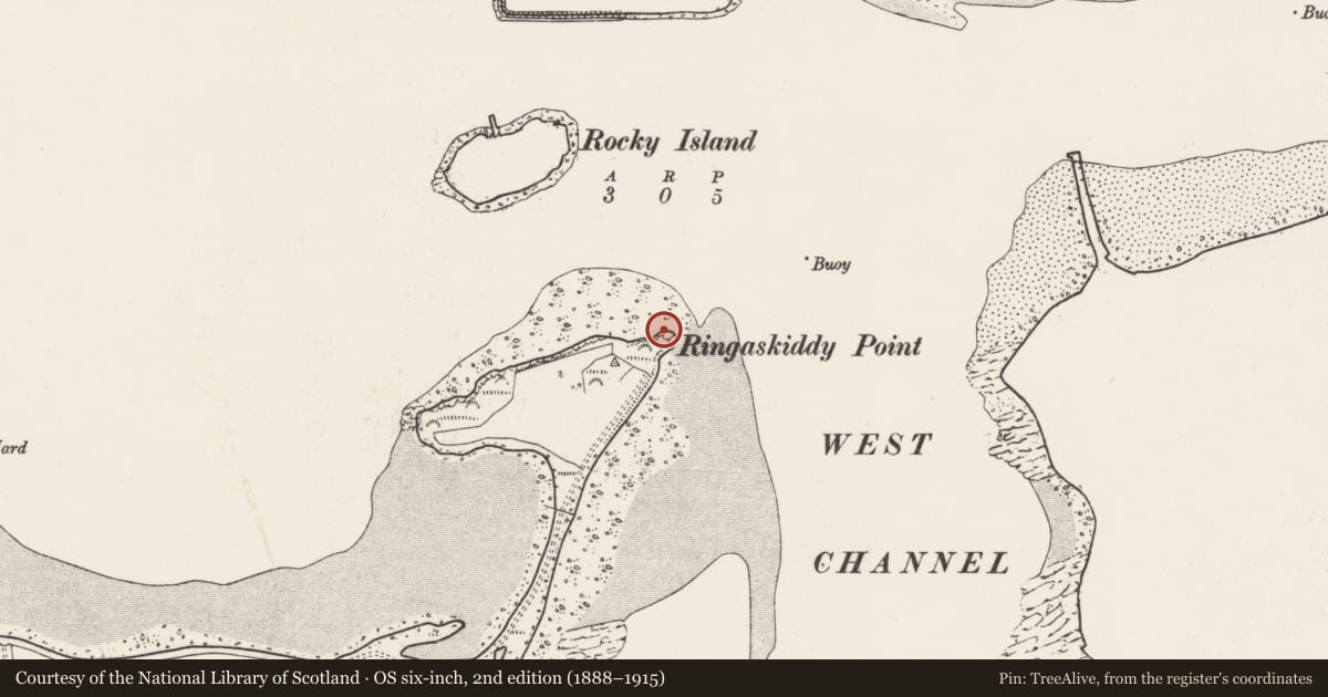 Ordnance Survey six-inch map, 2nd edition (1888–1915) covering the location of Midden, Ringaskiddy, County Cork, with a pin at the register's coordinates