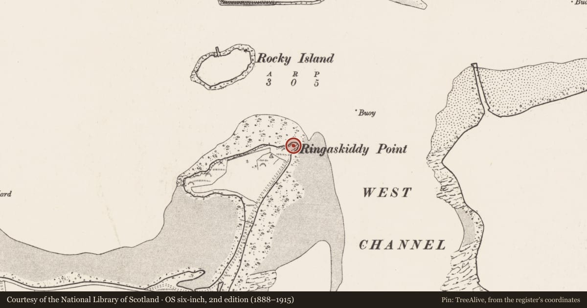 Ordnance Survey six-inch map, 2nd edition (1888–1915) covering the location of Midden, Ringaskiddy, County Cork, with a pin at the register's coordinates