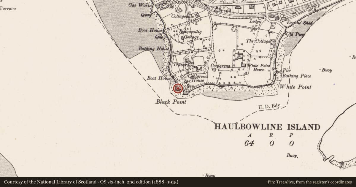 Ordnance Survey six-inch map, 2nd edition (1888–1915) covering the location of Kiln - lime, Ringacoltig, County Cork, with a pin at the register's coordinates