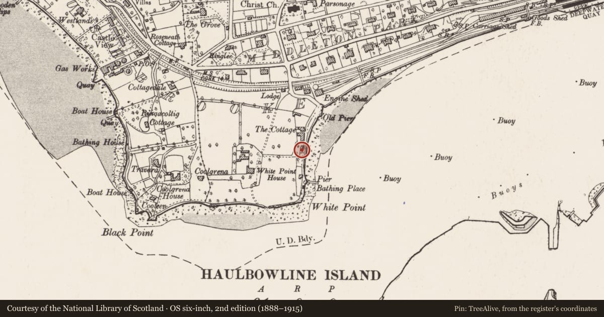 Ordnance Survey six-inch map, 2nd edition (1888–1915) covering the location of Kiln - lime, Ringmeen, County Cork, with a pin at the register's coordinates