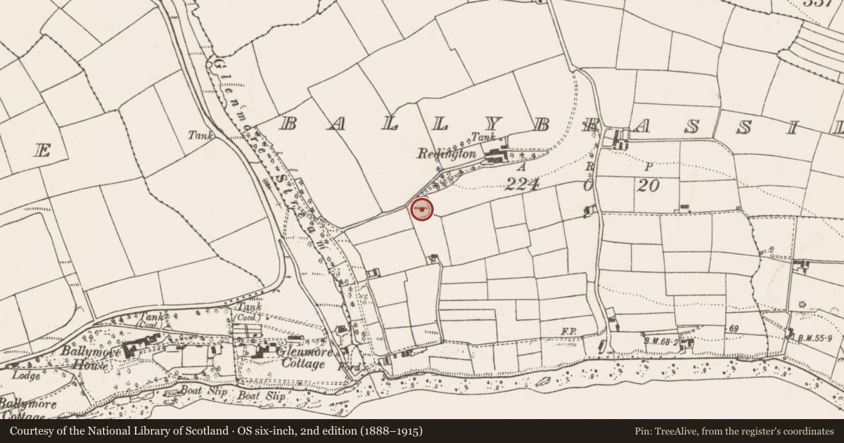 Ordnance Survey six-inch map, 2nd edition (1888–1915) covering the location of Ringfort - rath, Ballybrassil, County Cork, with a pin at the register's coordinates