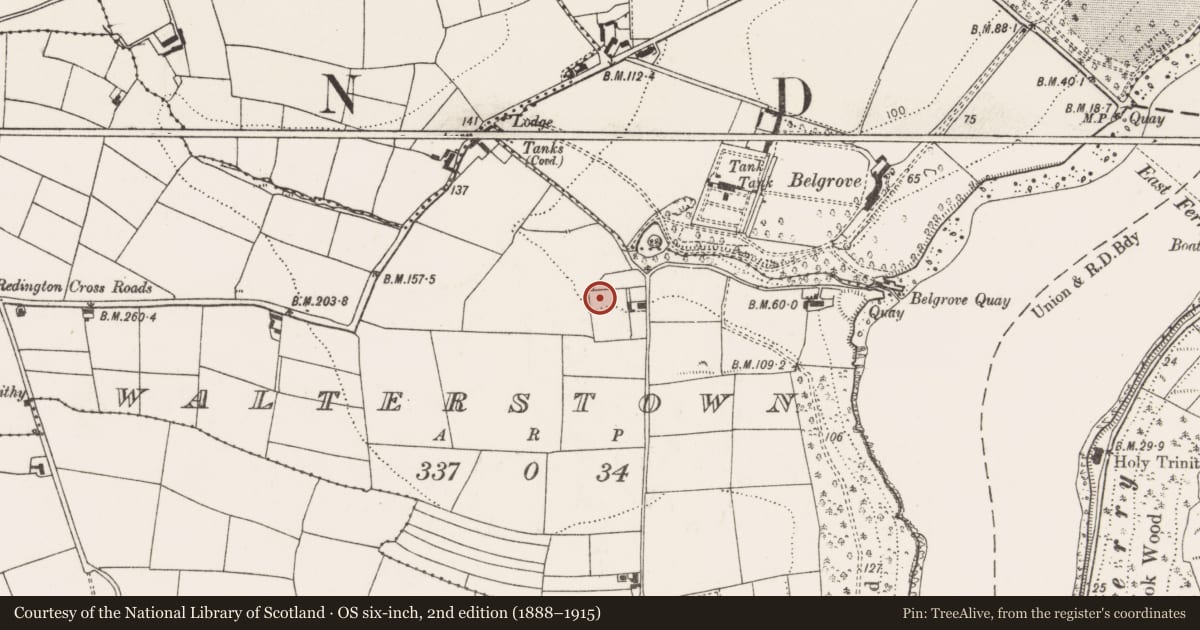 Ordnance Survey six-inch map, 2nd edition (1888–1915) covering the location of Fulacht fia, Walterstown, County Cork, with a pin at the register's coordinates
