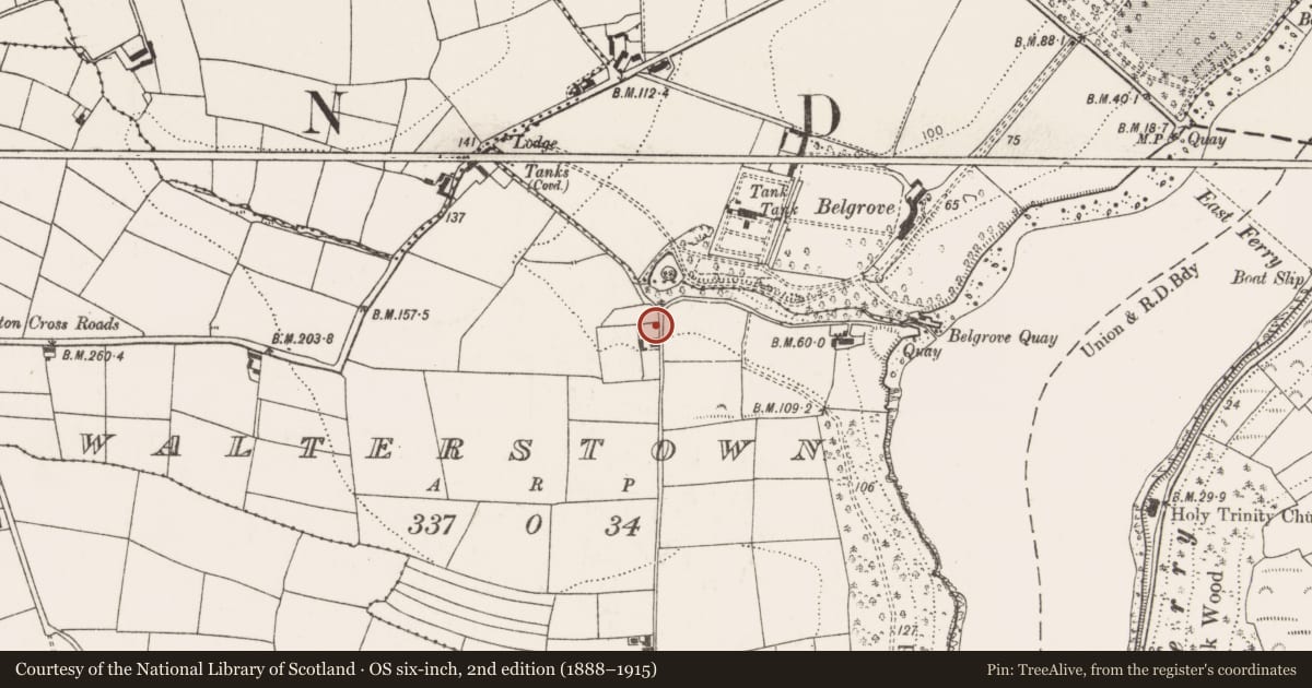 Ordnance Survey six-inch map, 2nd edition (1888–1915) covering the location of Castle - unclassified, Walterstown, County Cork, with a pin at the register's coordinates