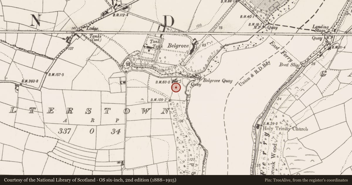 Ordnance Survey six-inch map, 2nd edition (1888–1915) covering the location of Ringfort - rath, Walterstown, County Cork, with a pin at the register's coordinates