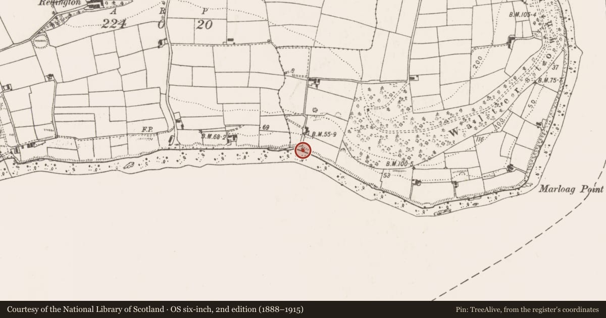 Ordnance Survey six-inch map, 2nd edition (1888–1915) covering the location of Ritual site - holy well, Walterstown, County Cork, with a pin at the register's coordinates