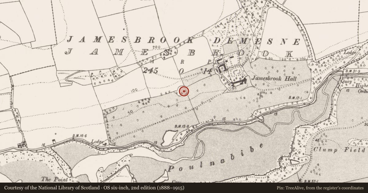 Ordnance Survey six-inch map, 2nd edition (1888–1915) covering the location of Enclosure, Jamesbrook, County Cork, with a pin at the register's coordinates