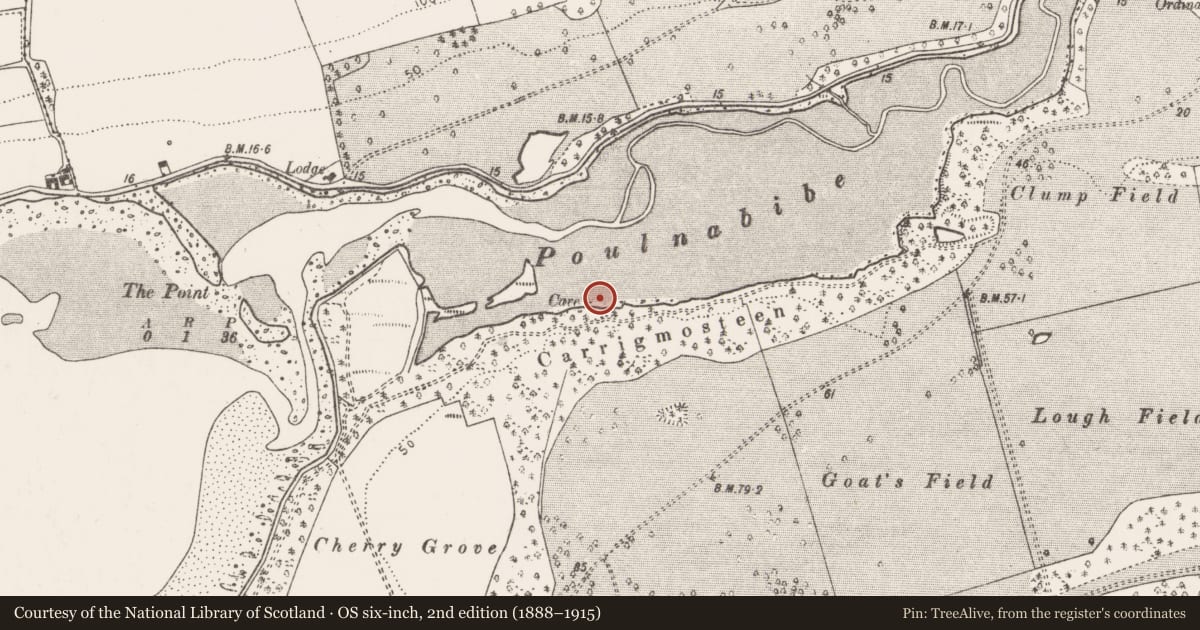 Ordnance Survey six-inch map, 2nd edition (1888–1915) covering the location of Megalithic structure, Rostellan, County Cork, with a pin at the register's coordinates