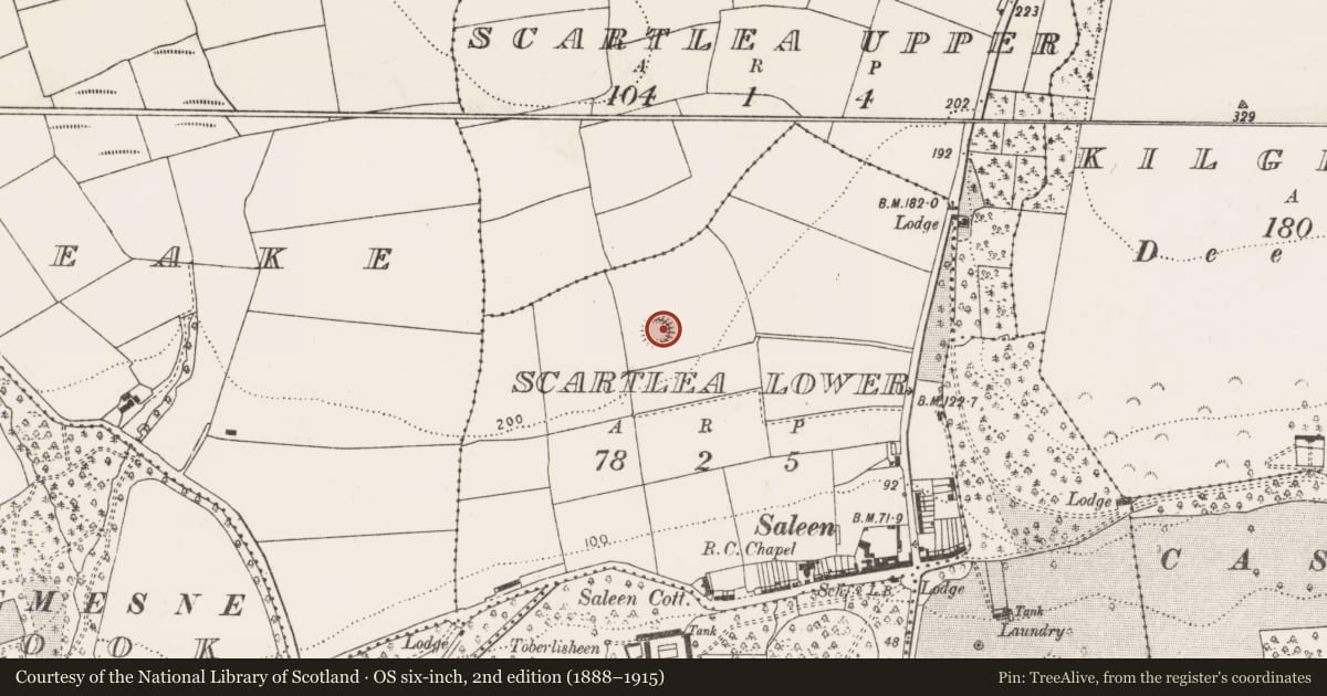 Ordnance Survey six-inch map, 2nd edition (1888–1915) covering the location of Ringfort - rath, Scartlea Lower, County Cork, with a pin at the register's coordinates