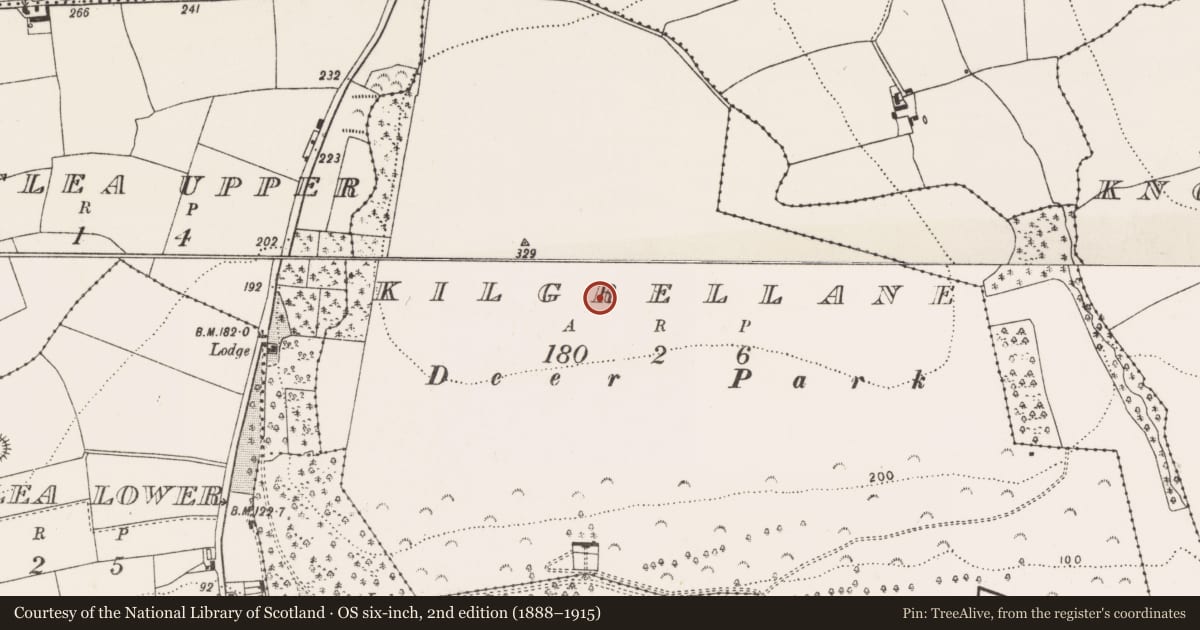 Ordnance Survey six-inch map, 2nd edition (1888–1915) covering the location of Enclosure, Kilgrellane, County Cork, with a pin at the register's coordinates