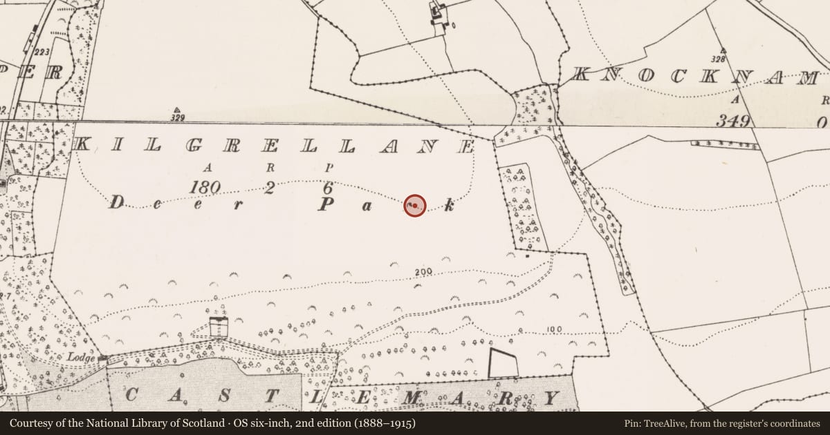 Ordnance Survey six-inch map, 2nd edition (1888–1915) covering the location of Enclosure, Kilgrellane, County Cork, with a pin at the register's coordinates