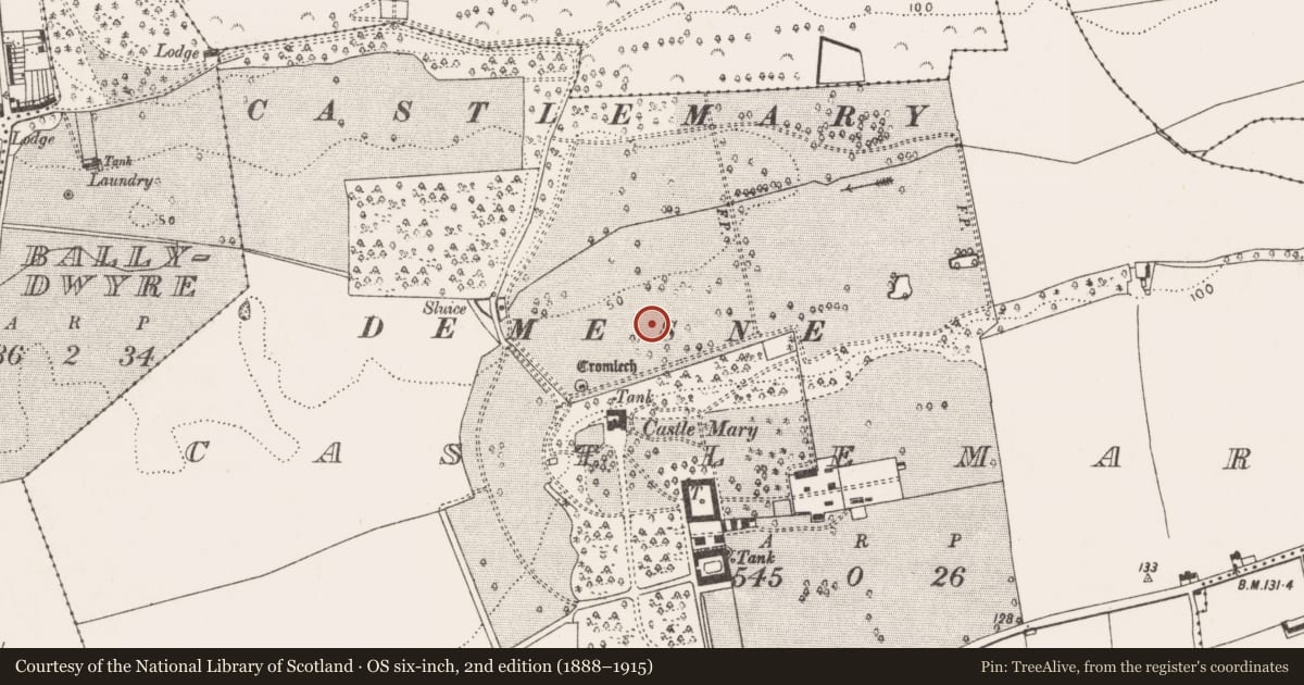 Ordnance Survey six-inch map, 2nd edition (1888–1915) covering the location of Fulacht fia, Castlemary, County Cork, with a pin at the register's coordinates