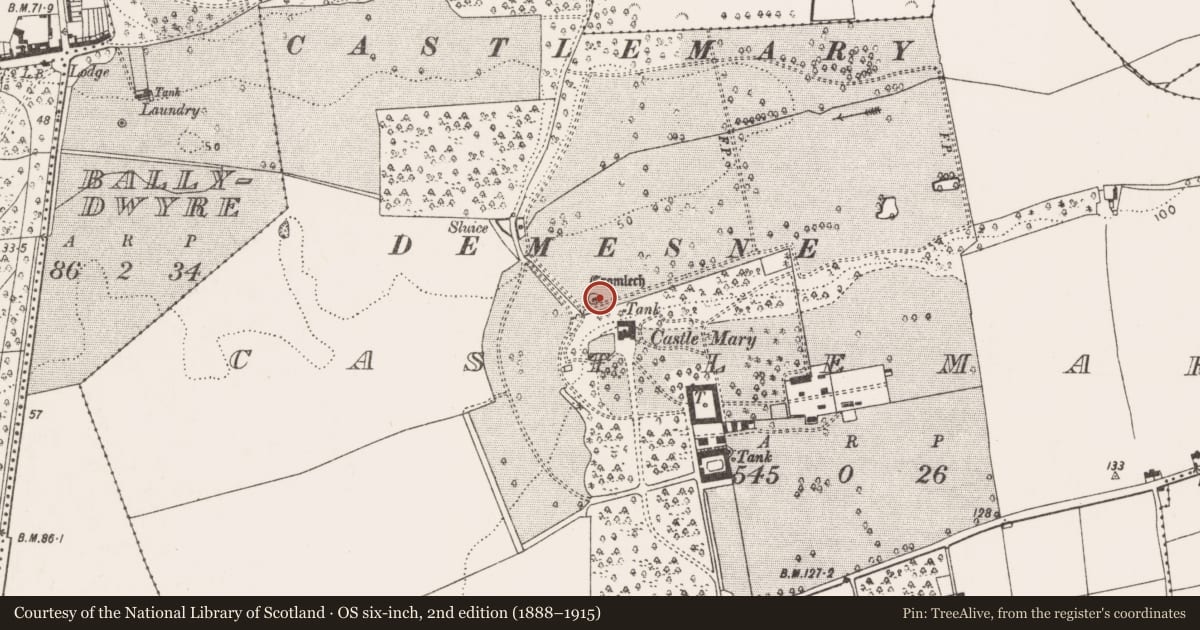 Ordnance Survey six-inch map, 2nd edition (1888–1915) covering the location of Megalithic structure, Castlemary, County Cork, with a pin at the register's coordinates