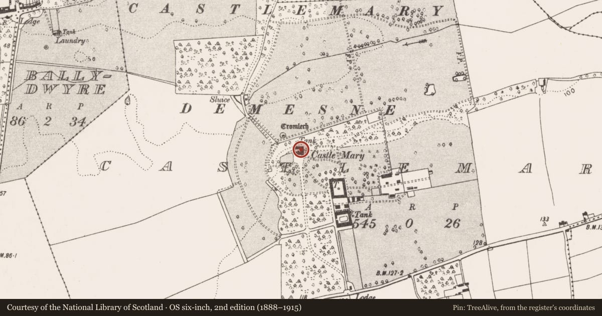Ordnance Survey six-inch map, 2nd edition (1888–1915) covering the location of Castle - tower house, Castlemary, County Cork, with a pin at the register's coordinates