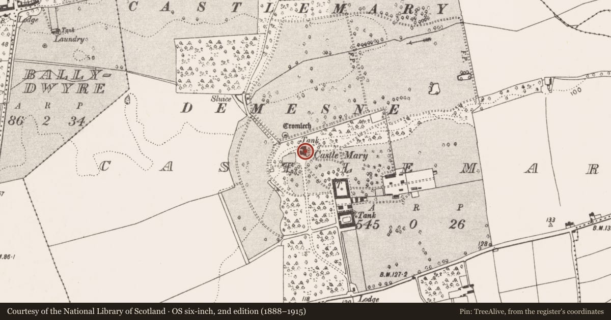 Ordnance Survey six-inch map, 2nd edition (1888–1915) covering the location of Country house, Castlemary, County Cork, with a pin at the register's coordinates