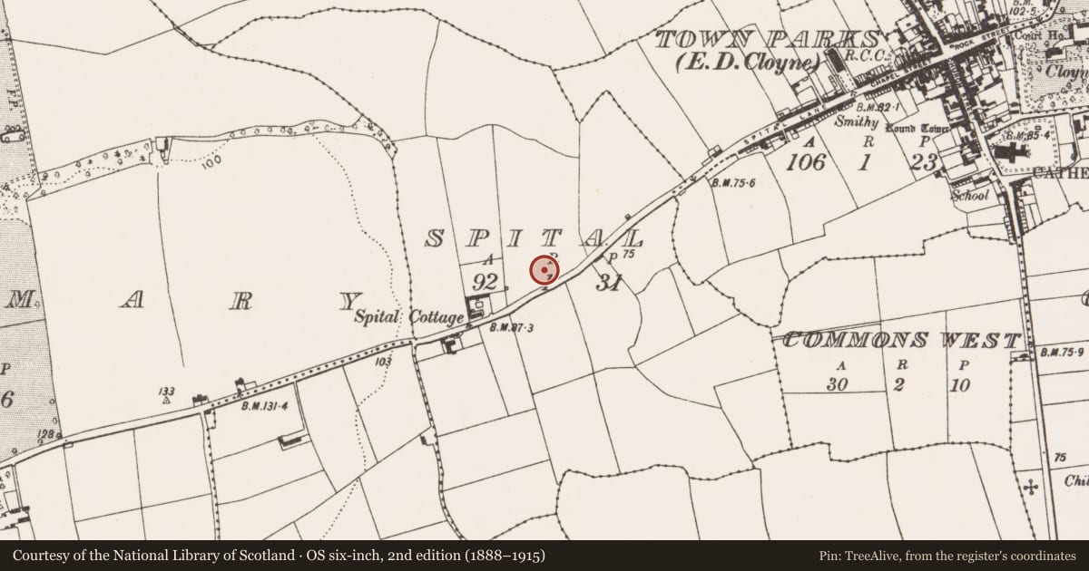 Ordnance Survey six-inch map, 2nd edition (1888–1915) covering the location of Leper hospital, County Cork, with a pin at the register's coordinates