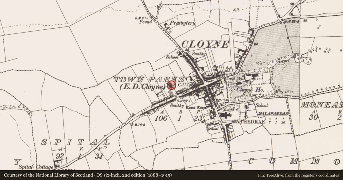 Ordnance Survey six-inch map, 2nd edition (1888–1915) covering the location of Architectural fragment, Townparks (Imokilly By., Cloyne Par.), County Cork, with a pin at the register's coordinates
