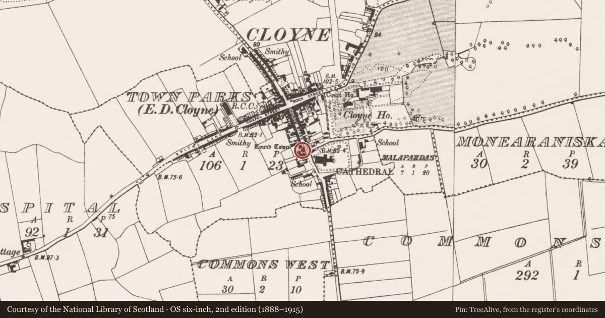 Ordnance Survey six-inch map, 2nd edition (1888–1915) covering the location of Round tower, Townparks (Imokilly By., Cloyne Par.), County Cork, with a pin at the register's coordinates