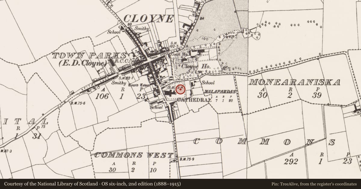 Ordnance Survey six-inch map, 2nd edition (1888–1915) covering the location of Graveyard, Townparks (Imokilly By., Cloyne Par.), County Cork, with a pin at the register's coordinates