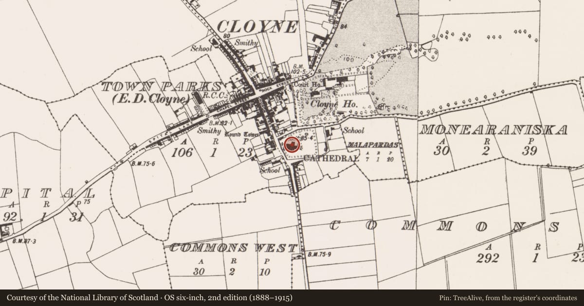 Ordnance Survey six-inch map, 2nd edition (1888–1915) covering the location of Cathedral, Townparks (Imokilly By., Cloyne Par.), County Cork, with a pin at the register's coordinates