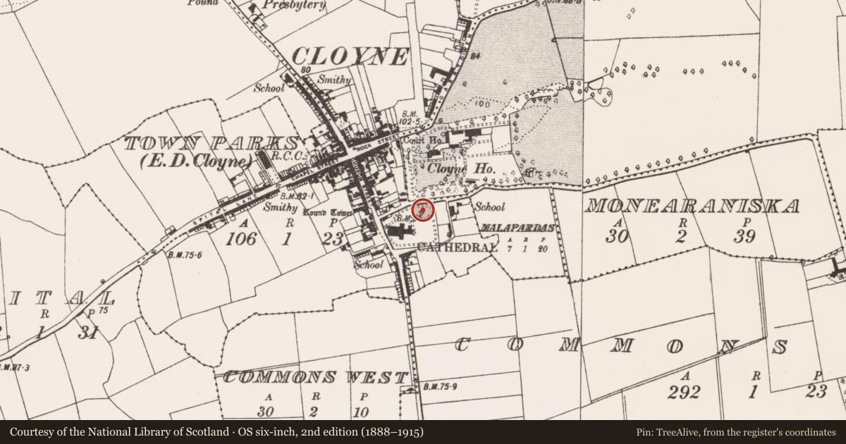 Ordnance Survey six-inch map, 2nd edition (1888–1915) covering the location of Structure, Townparks (Imokilly By., Cloyne Par.), County Cork, with a pin at the register's coordinates