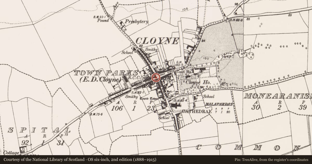 Ordnance Survey six-inch map, 2nd edition (1888–1915) covering the location of Cross - Market cross, Townparks (Imokilly By., Cloyne Par.), County Cork, with a pin at the register's coordinates