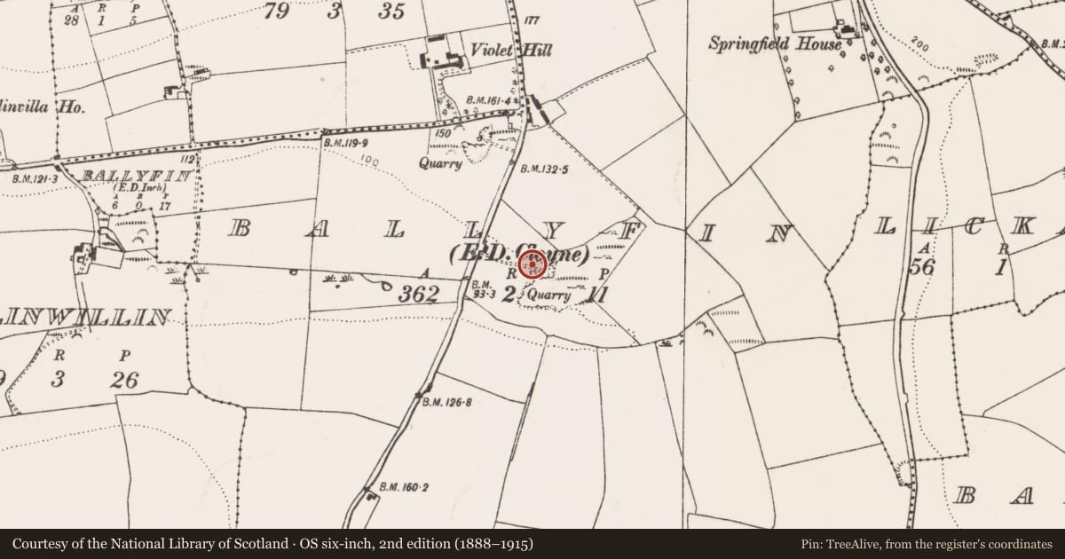 Ordnance Survey six-inch map, 2nd edition (1888–1915) covering the location of Kiln - lime, Ballyfin (Imokilly By., Cloyne Par.), County Cork, with a pin at the register's coordinates