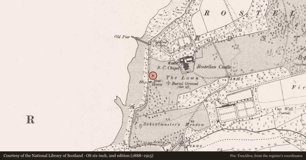 Ordnance Survey six-inch map, 2nd edition (1888–1915) covering the location of Designed landscape - belvedere, Rostellan, County Cork, with a pin at the register's coordinates