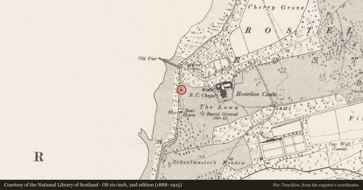 Ordnance Survey six-inch map, 2nd edition (1888–1915) covering the location of Midden, Rostellan, County Cork, with a pin at the register's coordinates