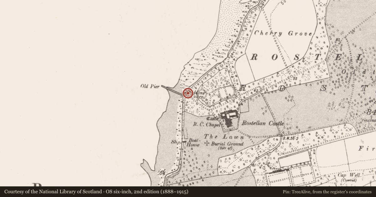 Ordnance Survey six-inch map, 2nd edition (1888–1915) covering the location of Battery, Rostellan, County Cork, with a pin at the register's coordinates