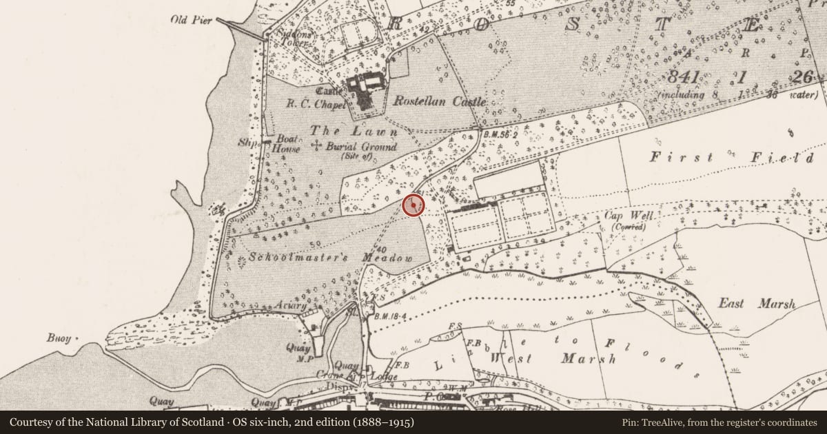 Ordnance Survey six-inch map, 2nd edition (1888–1915) covering the location of Midden, Rostellan, County Cork, with a pin at the register's coordinates
