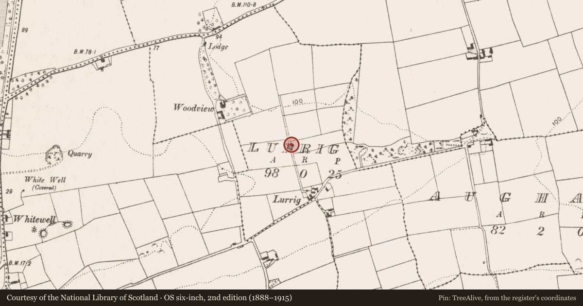 Ordnance Survey six-inch map, 2nd edition (1888–1915) covering the location of Kiln - lime, Lurrig, County Cork, with a pin at the register's coordinates