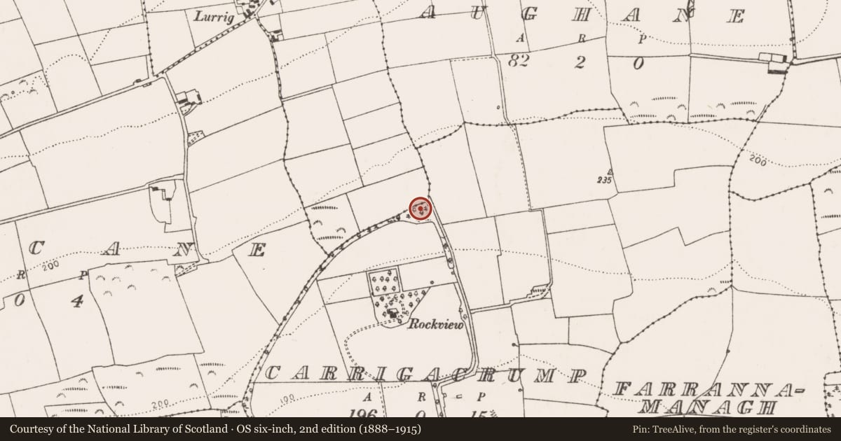 Ordnance Survey six-inch map, 2nd edition (1888–1915) covering the location of Ringfort - rath, Carrigacrump, County Cork, with a pin at the register's coordinates