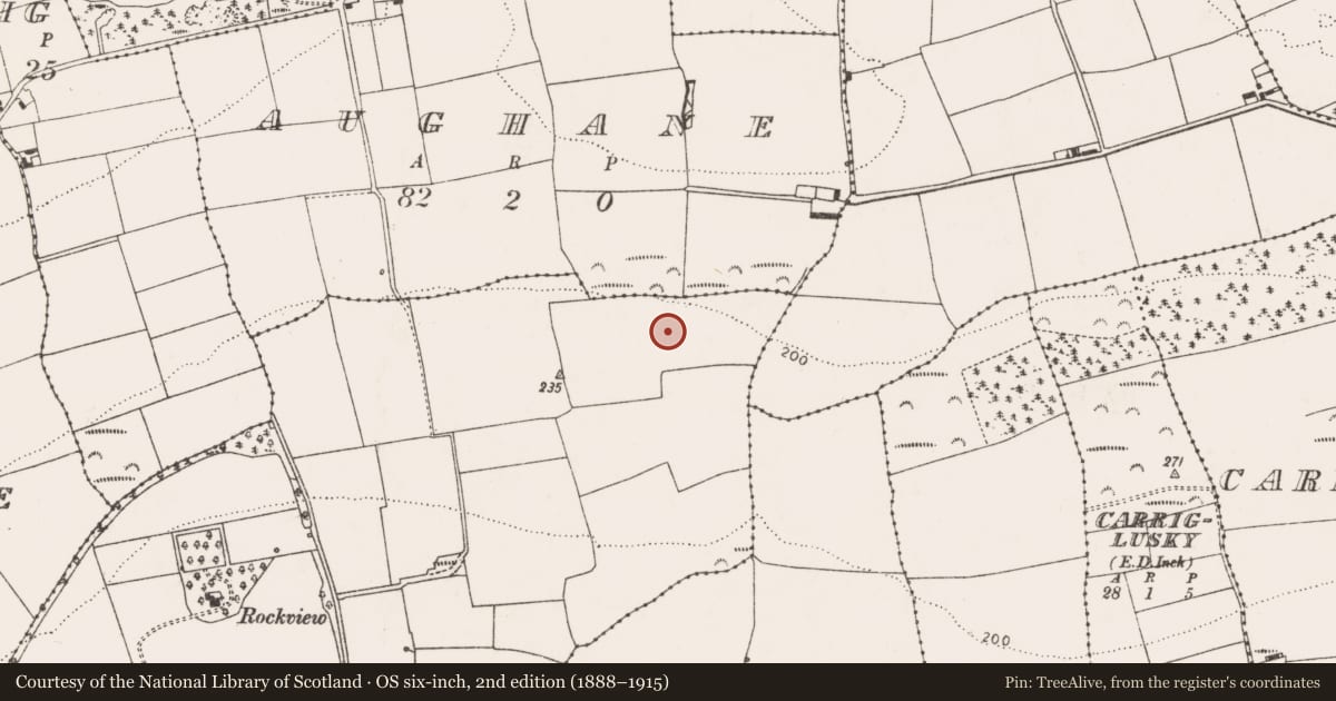 Ordnance Survey six-inch map, 2nd edition (1888–1915) covering the location of Ringfort - rath, Carrigacrump, County Cork, with a pin at the register's coordinates