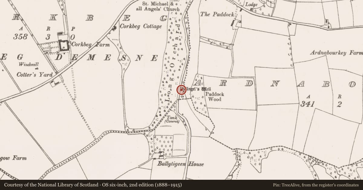 Ordnance Survey six-inch map, 2nd edition (1888–1915) covering the location of Ritual site - holy well, Corkbeg, County Cork, with a pin at the register's coordinates