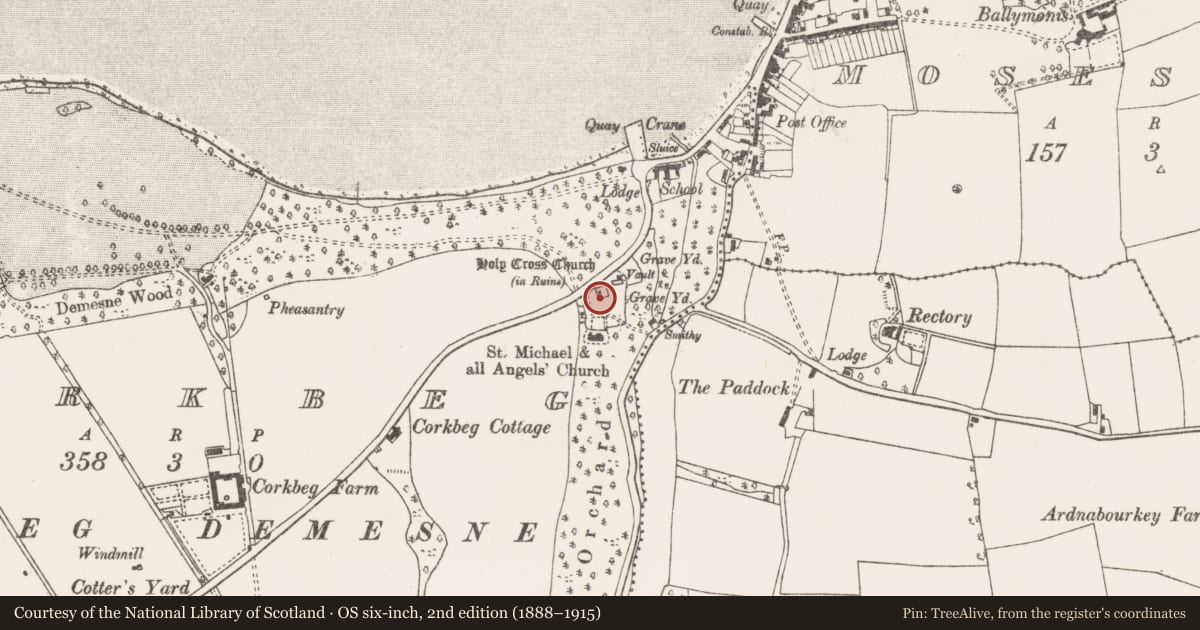 Ordnance Survey six-inch map, 2nd edition (1888–1915) covering the location of Graveyard, Corkbeg, County Cork, with a pin at the register's coordinates