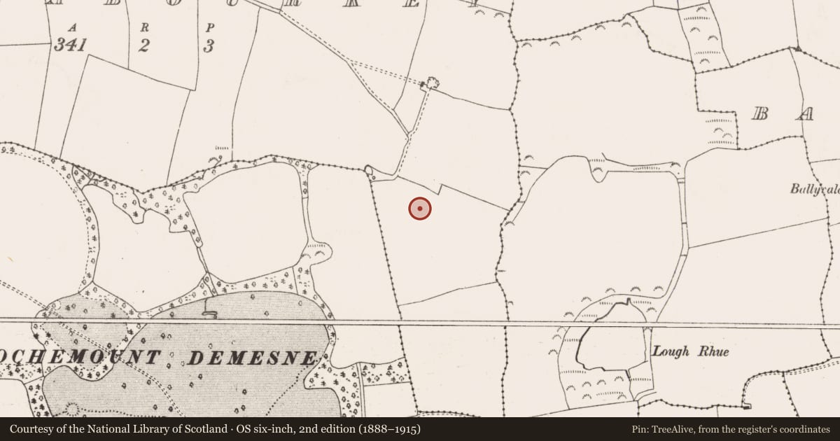 Ordnance Survey six-inch map, 2nd edition (1888–1915) covering the location of Enclosure, Ardnabourkey, County Cork, with a pin at the register's coordinates