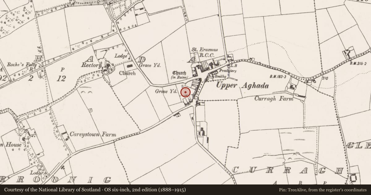 Ordnance Survey six-inch map, 2nd edition (1888–1915) covering the location of Graveyard, Aghada, County Cork, with a pin at the register's coordinates