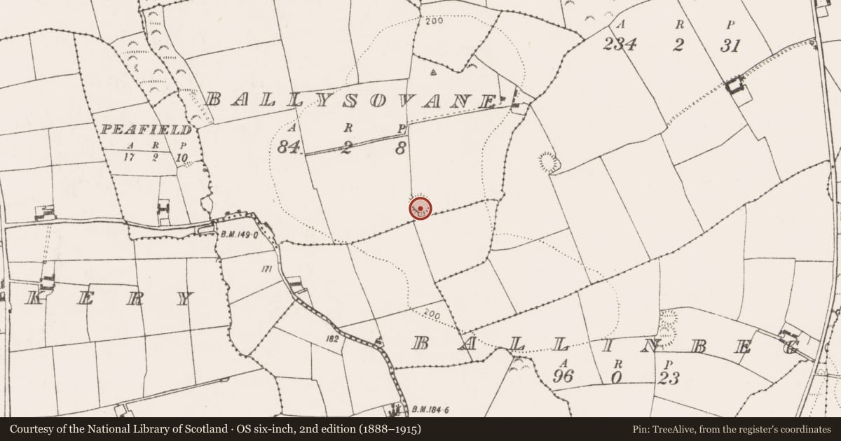 Ordnance Survey six-inch map, 2nd edition (1888–1915) covering the location of Ringfort - rath, Ballysovane, County Cork, with a pin at the register's coordinates